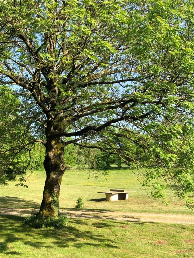 Domaine De Tapies 2 Gites Jusqu A 19 Personnes Cornus Exterior photo